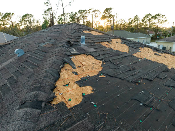 Best Roof Insulation Installation  in Owensville, IN